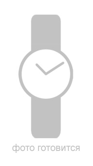  Festina 16698.5